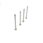 Round Flat Head Shark Point 316 Grade Stainless Steel Nails For Fixing