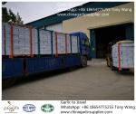 Garlic to Israel with 10kg carton box.Supermarket package.