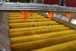 Brush Type Industrial Vegetable Washer , Carrot / Apple Washing Machine 500