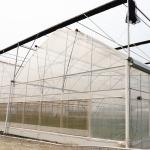 Agriculture Plastic UV Film Poly Tunnel Multi-span Tomato Smart Greenhouse