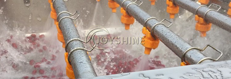 Tomato Fruit Washing Machine with Lifting Function by Joyshine Ce Fully Automatic