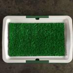 Easy Clean Removable Cover Pet Grooming Tools Indoor Dog Potty Tray 1378g