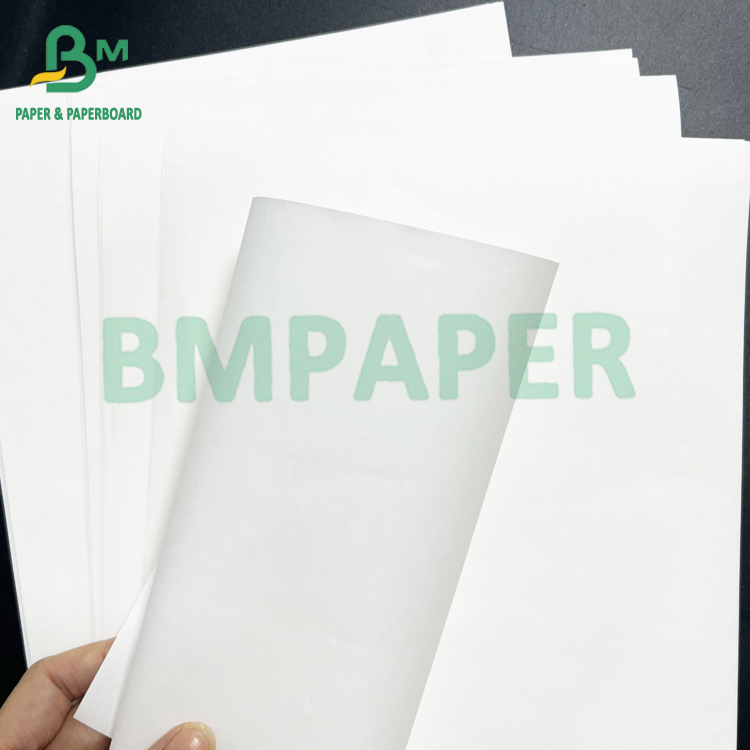 100gsm Eco Friendly Safety White Kraft Food Paper For Nuts Wrapping In Reel 1100mm