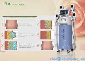 Wholesale 0kpa-100kpa Vacuum 4 Big heads cryolipolysis slimming machine from china suppliers