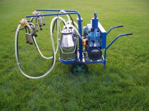Wholesale Stainless Steel Electric Dairy Cow Milking Machine 220V from china suppliers