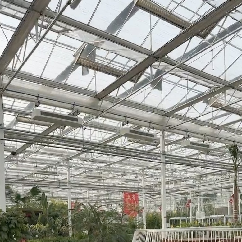 Drip Irrigation Glass Greenhouse with Reasonable Price