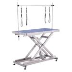 Electric Height Adjustable Dog Grooming Table OEM 240kg