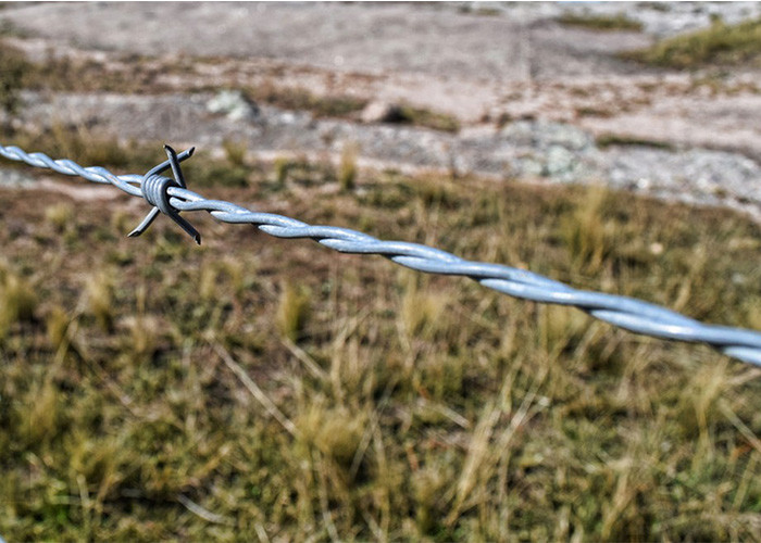 Farm Protection Single Strand Stainless Steel Barbed Wire Price Per Roll