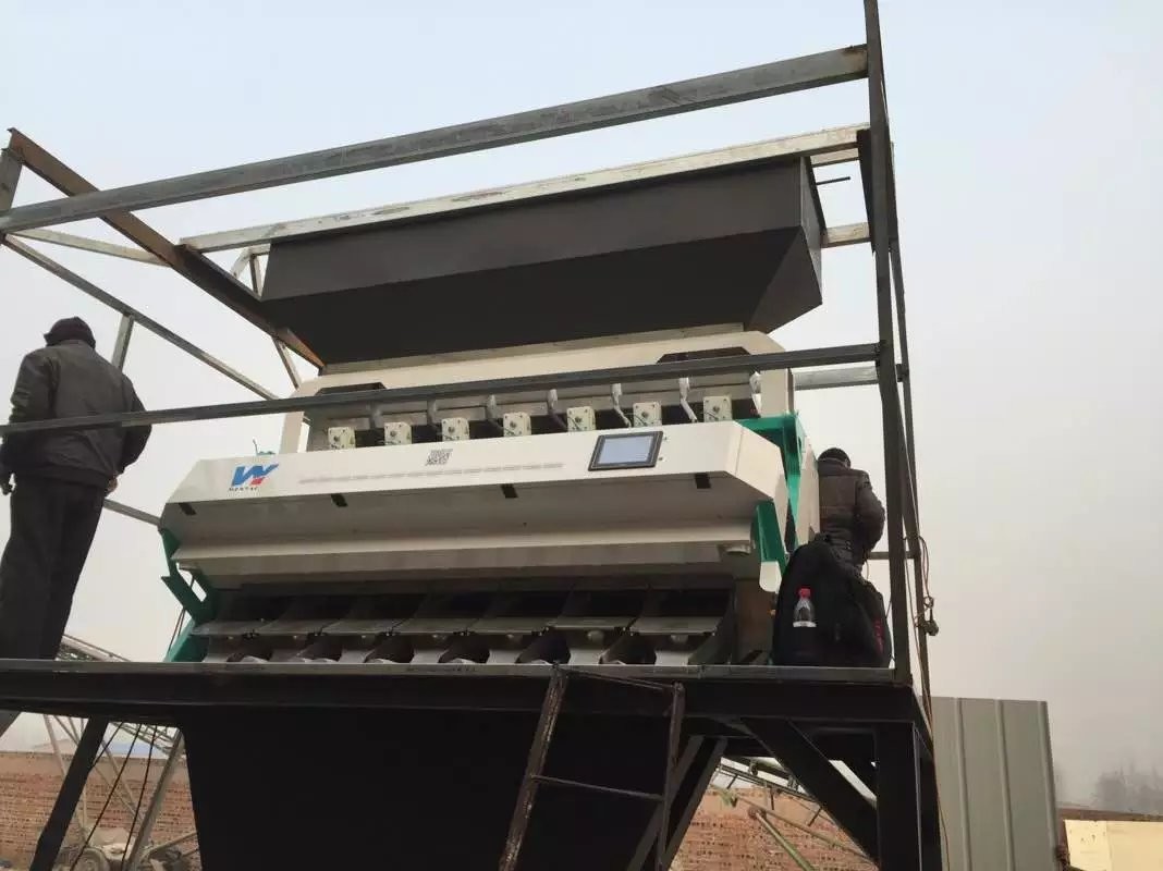 1 Chutes 64 Channels High Capacity Rosehip Sorting Machine With WiFi Remote