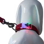 Sustainable Reflective Fray Proof Pet Collars Leashes/pet products