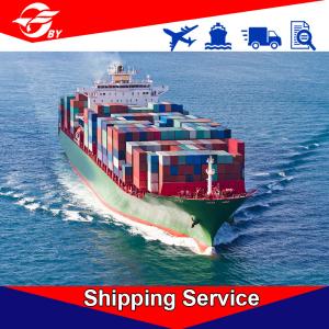 Wholesale DDP Door To Door Sea Freight Forwarding Services Qingdao - Jacksonville Charlotte Norfolk from china suppliers