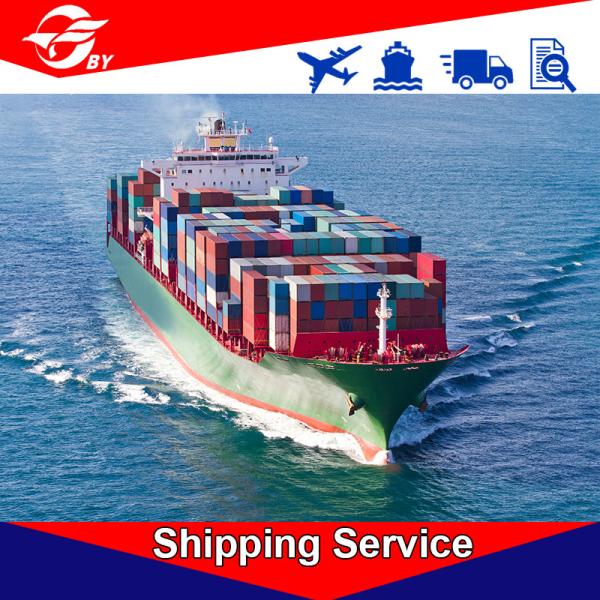 DDP Door To Door Sea Freight Forwarding Services Qingdao - Jacksonville