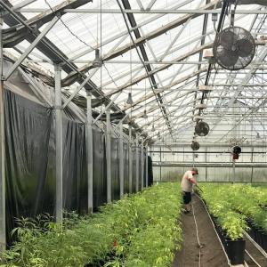 Wholesale Black Curtain Small Automatic Blackout Greenhouse Adjustable Light from china suppliers
