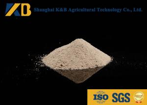 Wholesale Animal Nutrition Supplements / White Rice Protein Powder High Biological Value from china suppliers