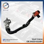 Auto Engine 6420102391 Crankcase Vent Valve 642 010 23 91 for Mercedes Benz W204
