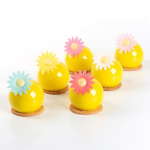 Wholesale Multi Color Healthy Edible Decorations AZO Free Color Potato Starches Material from china suppliers