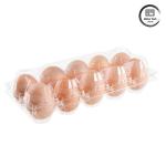 Vacuum Formed 30 Egg Storage Trays Disposable Transparent PET Plastic Containers