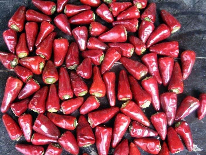 Stemless Bullet Head Chili Dehydrated Chaotian Sun Dried Red Peppers