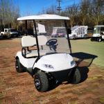 48 Volt Electric 2 Seater Golf Cart Buggies white All Wheel Drive