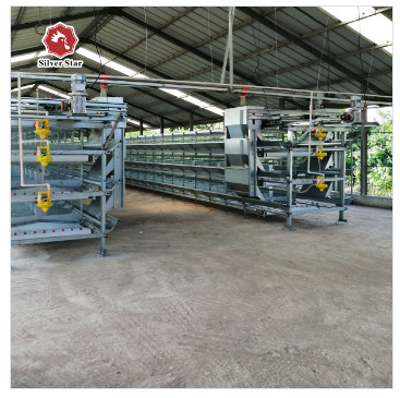 180 Birds H Type Battery Cage Q235A Broiler Farm Equipment