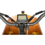 Electric City Tricycle Speed Cargo Bike for Adults Max Speed 25km/h LCD Display