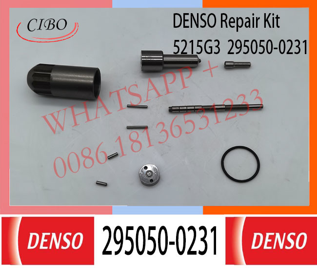 295050-0231 DIESEL DENSO INJECTOR PARTS REPAIR KIT 295050-0231 295050-0790 295050-1170 295050-1590 FOR DENSO G3 INJECTOR