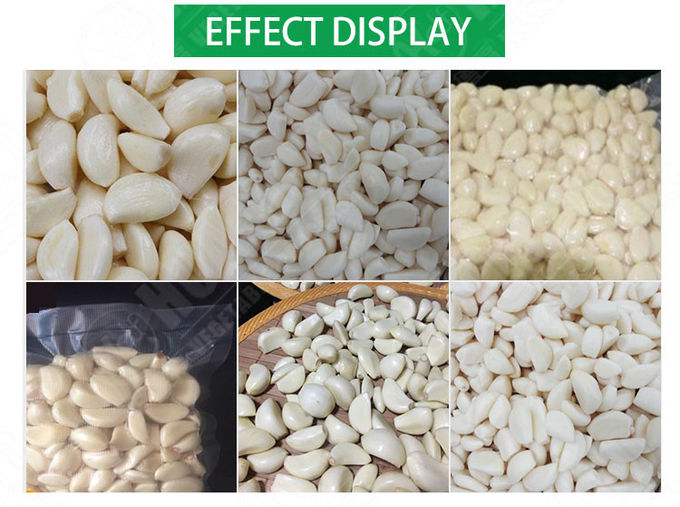 Multi Functional Wide Output Range Long Working Life Garlic Processing Line