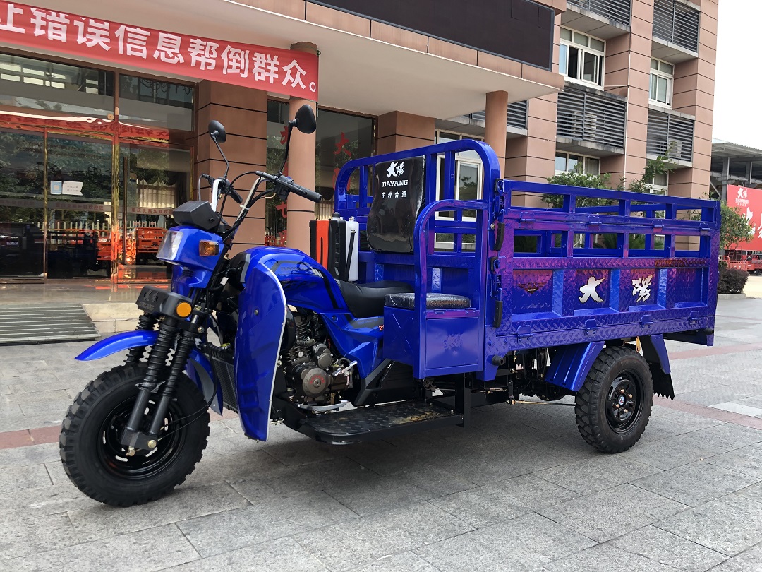 175cc/200cc/250cc Heavy Loading Truck Cargo Tricycle for Global Market Requirements
