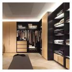 Classic Cloth Wardrobe Walk In Closet , Attic Walk In Closet Wardrobe Glass