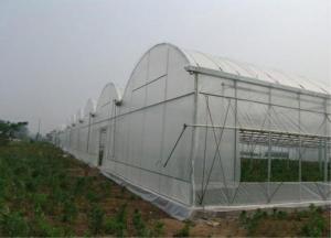 China Greenhouses And Tunnels Insect Mesh Netting Plain Weave 0.3mm Wire Diameter on sale