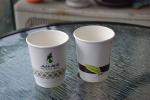 Double wall Paper Cups