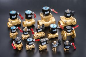 Wholesale Hydraulic Electric Brass Solenoid Valve 12V 24V 110V 220V AC DC Water Copper Coil from china suppliers