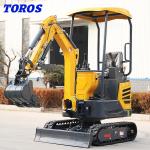 EPA Certified Powerful Compact Mini Digger Machine For Landscaping