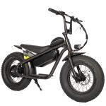 36V350W Electric Off-Road Dirt Bike for Kids Customizable Lithium Battery and