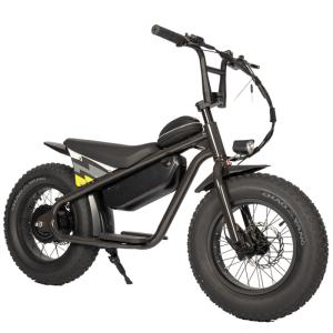 Wholesale Aluminum Alloy Frame Kids Motorcycle Ebike 250W Motor 13Ah Battery High Safety Factor from china suppliers
