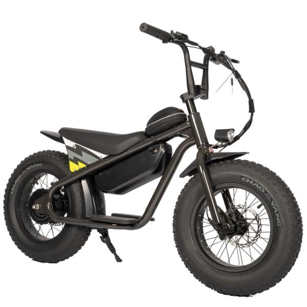 13 Ah Bicycle for Children 48V Voltage Dirt Bike 250W Motor EU House Motorcycle