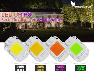 Wholesale Thermal Resistance 50w Cob Led Chip 50HZ For Spotlight Floodlight from china suppliers