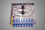 Small Compact Wall Mounted Fiber Optic Terminal Box For Local Area Netwoks