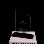 Customized shape laser engraving logo foil gold silver wooden base trophy