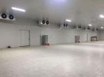 Vegetable Fruit Cold Storage Room 0~10°C Industrial Refrigeration System