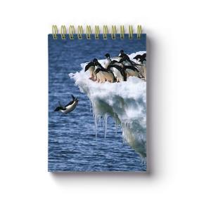 Wholesale Free Sample A5 Size 3d Lenticular Notebook Cover 0.6mm Thickness from china suppliers