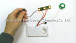 Twinkling Lights Flashing Toy Sound Module , Flashing recordable voice chip
