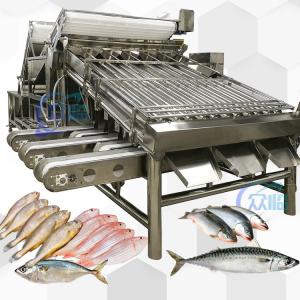 Wholesale Stainless Steel 304 Yellow Croaker Grader 12pcs Roller Sardine Mackerel Grader from china suppliers