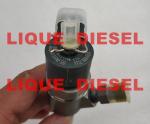 BOSCH Common rail injector 0445110454 , 0 445 110 454 , 0445 110 454 Fuel