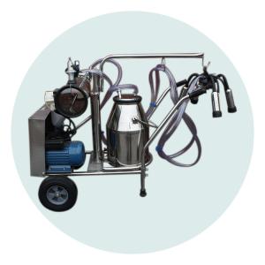 Wholesale Negative Pressure 170L/min Cow Milking Machine SS304 Material from china suppliers