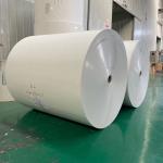 Single PE Coated Paper Cup Roll 320gsm White Kraft Waterproof