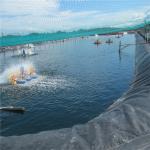 Fish Farming HDPE Geomembrane Liner 1mm 0.5mm 1.5mm Black White Blue Green