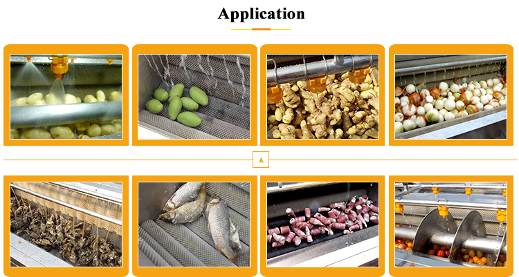 Sweet Potato Cleaning Washing and Peeling Machine with Adjustable Controlled Speed