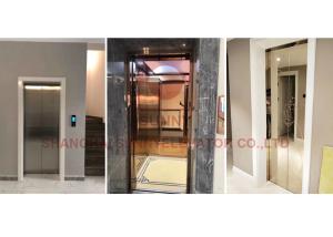 Wholesale Stainless Steel 304 Residential Home Elevators Translucent Rated Load 400kg from china suppliers