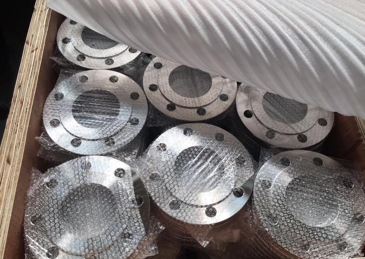 Gr2 Gr3 Titanium Weld Neck Pipe Flanges RF DIN2527 Standard 12″ Size